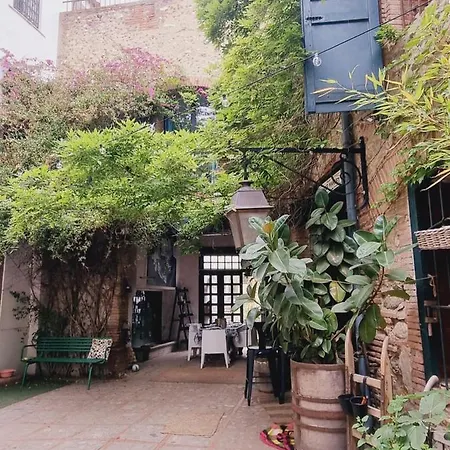Le Cèdre 1830 De Charme Et Couette-café Saint-Feliu-d'Avall
